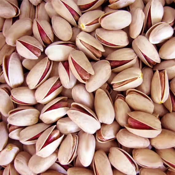 LETGO Pistachio InShell