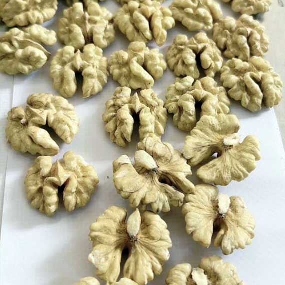 LETGO Walnut Shelled